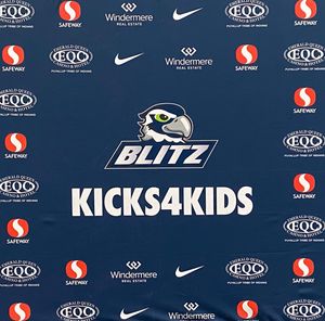 Image post by @blitztheseahawk on Instagram