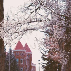 Image post by @nauflagstaff on Instagram