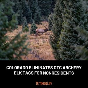 Image post by @outdoor_life on Instagram