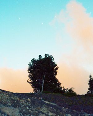 Image post by @lostfoxcreative on Instagram