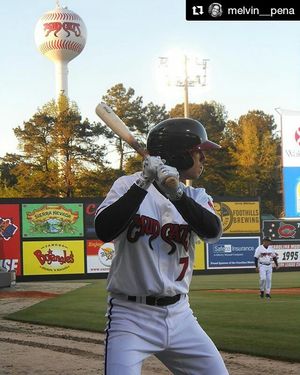 Image post by @carolinamudcats on Instagram