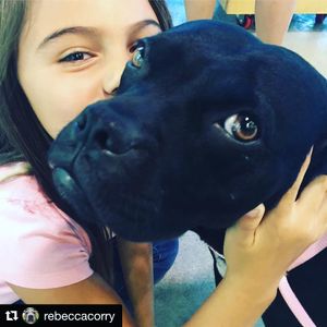 Image post by @laraleatrump on Instagram