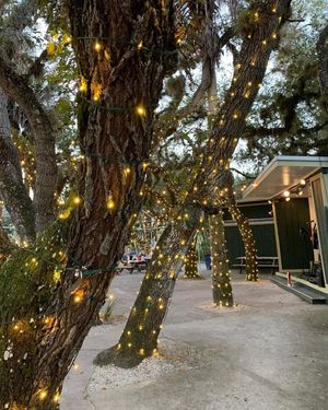 Image post by @visitsarasotacounty on Instagram