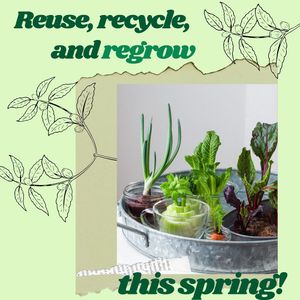 Image post by @aggiereusestore on Instagram
