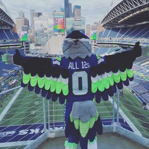 Image post by @blitztheseahawk on Instagram