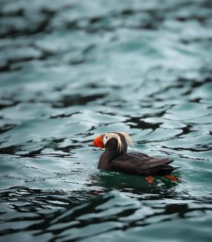 Image post by @nationalparkspartnership on Instagram