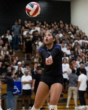 Image post by @utepvb on Instagram