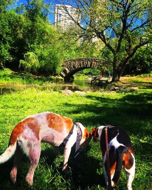 Image post by @laraleatrump on Instagram