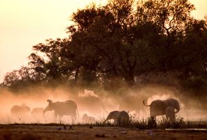 Image post by @natgeo on Instagram