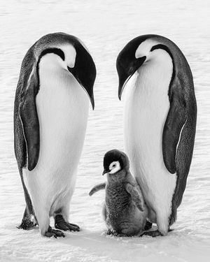 Image post by @natgeo on Instagram