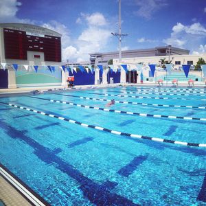 Image post by @nsu_swim on Instagram