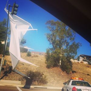 Image post by @calicamera on Instagram