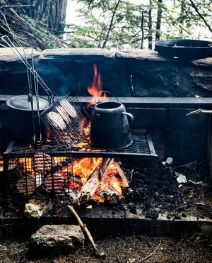Image post by @themainemag on Instagram