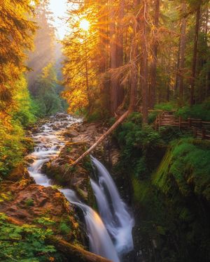 Image post by @nationalparkscollective on Instagram