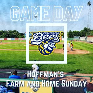 Image post by @burlington_bees on Instagram