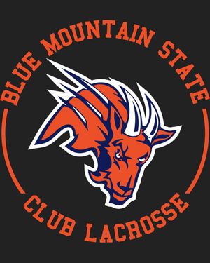 Image post by @washeduplaxbros on Instagram