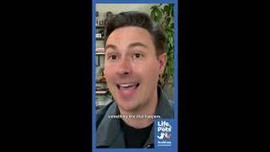 Video post by @bluebuffalo on YouTube