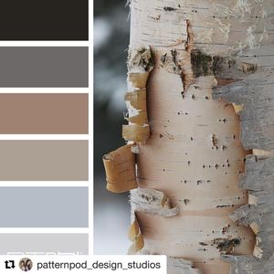 Image post by @pallastextiles on Instagram