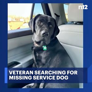 Image post by @news12li on Instagram