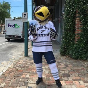Image post by @pcolaiceflyers on Instagram