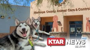 Video post by @ktarnews on YouTube