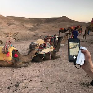 Image post by @mycharge on Instagram