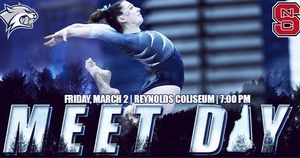 Image post by @unhgymnastics on Instagram
