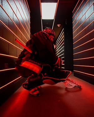 Image post by @nllwings on Instagram