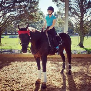 Image post by @performancesaddlefitssthsydney on Instagram