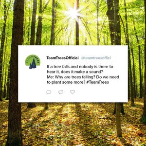 Image post by @teamtrees on Instagram