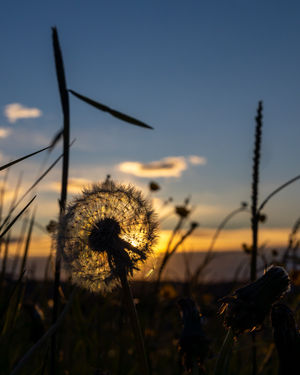 Image post by @cristan.nature.photography on Instagram