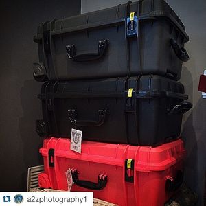 Image post by @seahorsecases on Instagram