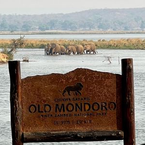 Image post by @chiawasafaris on Instagram