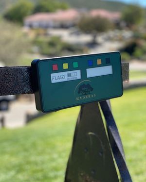 Image post by @flagdgolf on Instagram