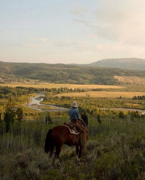 Image post by @diamondcrossranch on Instagram