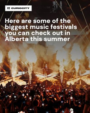 Image post by @curiocitycalgary on Instagram