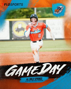 Image post by @mhcmarlins on Instagram