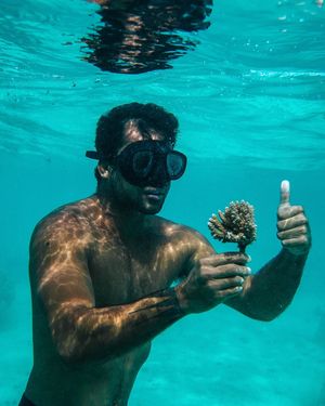 Image post by @wsloneocean on Instagram
