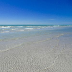 Image post by @visitsarasotacounty on Instagram