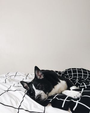 Image post by @zofeeagenota on Instagram