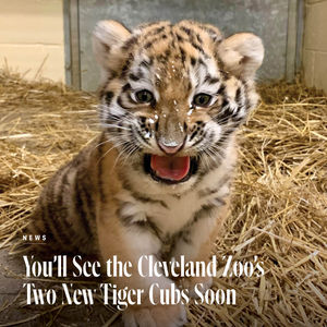 Image post by @clevelandmagazine on Instagram