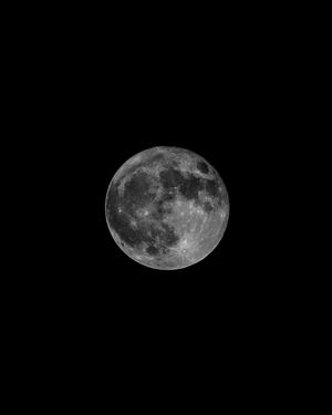 Image post by @themooneyshot on Instagram