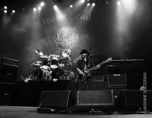 Image post by @thewarfield on Instagram