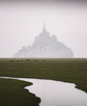 Image post by @fubiz on Instagram