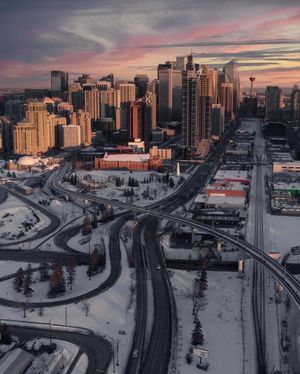 Image post by @curiocitycalgary on Instagram