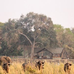 Image post by @chiawasafaris on Instagram
