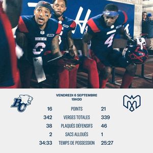 Image post by @mtlalouettes on Instagram