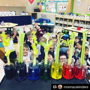Image post by @epic4kids on Instagram