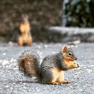 Image post by @mmhammond on Instagram