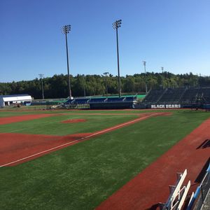 Image post by @mainebaseball on Instagram